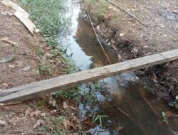 Musim Kemarau : Krisis Air, Warga Dusun Jaya Karya Desa Manggala Pinoh Selatan Sengsara Terpaksa Andalkan Air Sungai Kecil, Campuran Limbah Kotoran Manusia Tak Layak Konsumsi !!