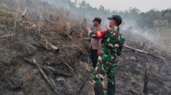 Aksi Nyata Cegah Karhutla, Babinsa Koramil 1206-09/Jongkong Bersama Polsek dan BPBD Padamkan Api di Pengkadan