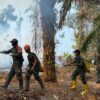 Tak Kenal Lelah, Para Babinsa Koramil 1206-17/Silat Hulu Berjibaku Padamkan Kobaran Api di Desa Nanga Dangkan
