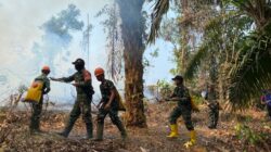 Tak Kenal Lelah, Para Babinsa Koramil 1206-17/Silat Hulu Berjibaku Padamkan Kobaran Api di Desa Nanga Dangkan