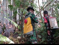 Terima Laporan Warga, Babinsa 1206-16/Seberuang Bergerak Cepat Atasi Karhutla di Desa Jerenjang
