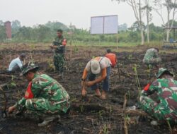Pelestarian Lingkungan, Kodim 1206/Putussibau Tanam Sejuta Pohon di Lahan Karhutla