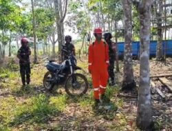 Karhutla Mengintai, Kodim 1206/Putussibau Gencarkan Patroli di Titik Rawan, Ini Respons Dandim