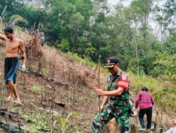 Bentuk Kearifan Lokal Guna Mencukupi Kebutuhan Hidup, Babinsa Batang Lupar Kapuas Hulu Bersama Masyarakat Laksanakan Tanam Padi dengan Cara Menugal di Desa Lanjak Deras