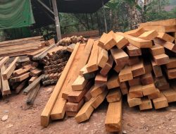 Salah Satu Sawmill Diduga Milik Mantan Anggota Polisi Melawi, Terima Jasa Pengetaman Kayu Diduga Hasil Illegal Logging Tanpa Dokumen