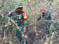 Siaga Karhutla! Babinsa Kodim 1206/Putussibau Turun Langsung Sisir Wilayah Rawan Api