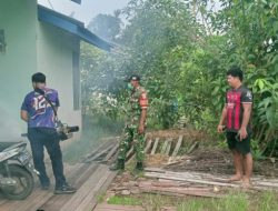 CEGAH PENYEBARAN CHIKUNGUNYA, BABINSA KODIM 1206/PUTUSSIBAU BERSAMA TIM KESEHATAN PEMDA KAPUAS HULU LAKUKAN FOGGING DAN EDUKASI KEPADA WARGA