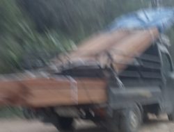 Diduga Kuat Pembiaran Polsek Ella Hilir, Mobil Carry Angkut Kayu Ulin Tanpa Dokumen Melintas Menuju Kabupaten Melawi, Gakkum dan Polda Kalbar Diminta Bertindak